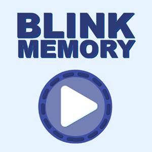 Blink Memory